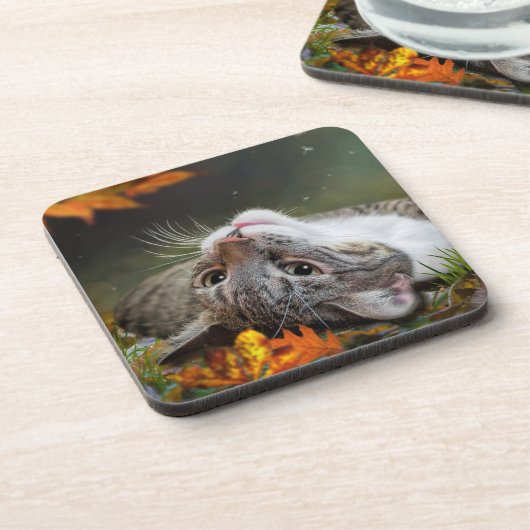 秋の森の中で、かわいい白昼夢を描くタビー猫 コースター (左側)