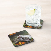 秋の森の中で、かわいい白昼夢を描くタビー猫 コースター (右側)