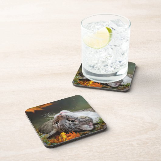 秋の森の中で、かわいい白昼夢を描くタビー猫 コースター (右側)