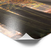 秋の森の中のサンビーム写真プリント フォトプリント            (角)