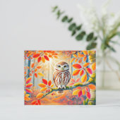 秋の森の中のタウニーフクロウ シーズンポストカード (スタンド正面)