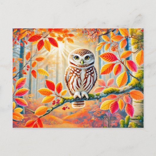 秋の森の中のタウニーフクロウ シーズンポストカード (正面)