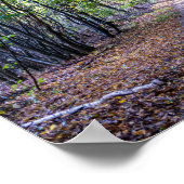 秋の森の中の小道、サンジェルマンの森 ポスター (角)