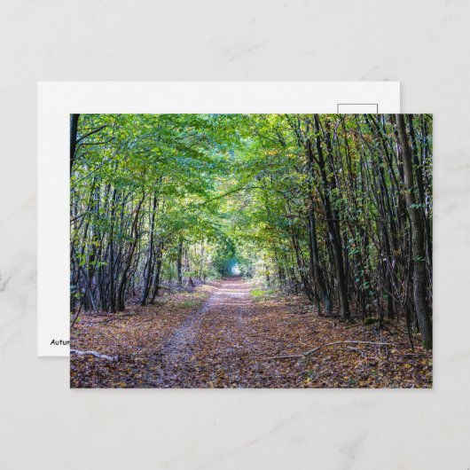 秋の森の中の小道、サンジェルマンの森 ポストカード (正面/裏面)