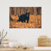 秋の森の中の黒熊 ポスター (キッチン)
