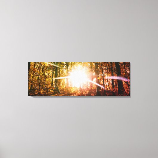 秋の森の太陽 キャンバスプリント (正面)
