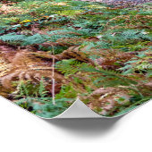 秋の森の小道、サンジェルマン・フォレスト ポスター (角)