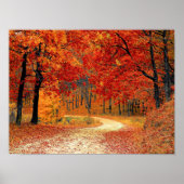 秋の森の小道 ポスター (正面)
