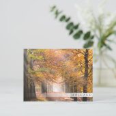 秋の森の日の光オランダバーはがき ポストカード (スタンド正面)