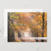 秋の森の日の光オランダバーはがき ポストカード (正面/裏面)