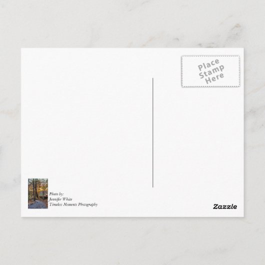 秋の森の日没の歩道はがき ポストカード (裏面)