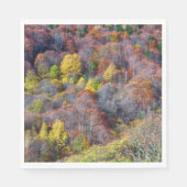 秋の森の木の空中観カラフル光 スタンダードランチョンナプキン (正面)