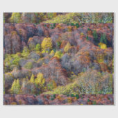 秋の森の木の空中観カラフル光 ラッピングペーパー (フラット)