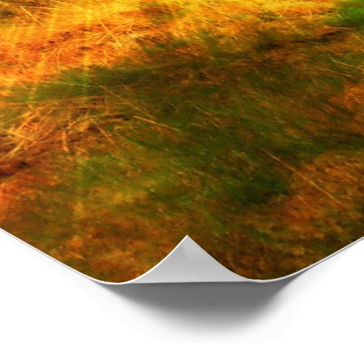 秋の森の火の嵐。 ポスター (角)