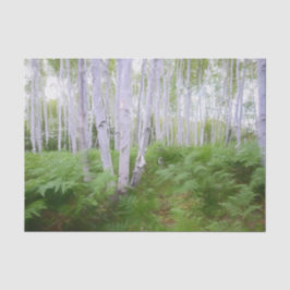 秋の森の緑のシダの森の白樺の木のアート 薄葉紙