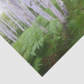 秋の森の緑のシダの森の白樺の木のアート 薄葉紙 (詳細)
