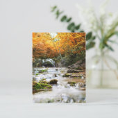 秋の森の美しい滝 ポストカード (スタンド正面)