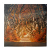 秋の森の茂みの小道 タイル (正面)