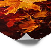 秋の森の道を樺の木の木で囲む ポスター (角)