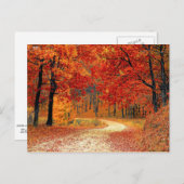 秋の森の道 ポストカード (正面/裏面)