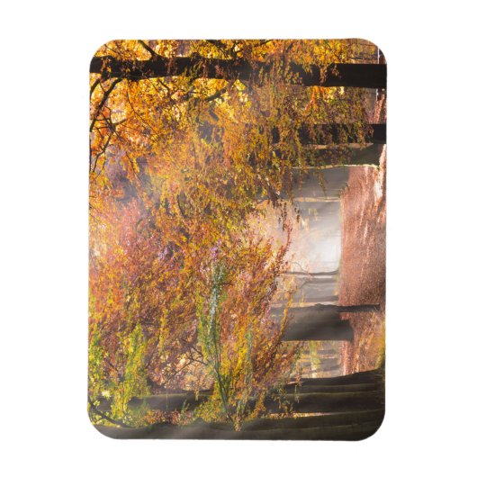 秋の森の長方形マグネットのサンビーム マグネット (縦)