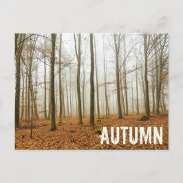 秋の森の霧と霧の秋シーズンギフト シーズンポストカード
