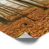 秋の森の霧と霧の秋シーズンギフト ポスター (角)