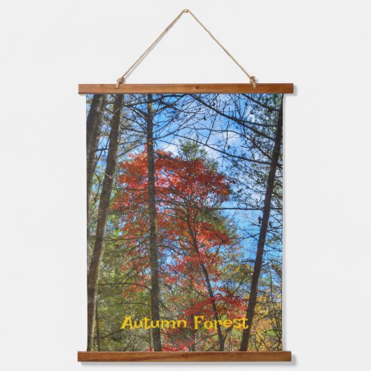 秋の森の風景カラフル写真 吊り下げ型タペストリー (正面)