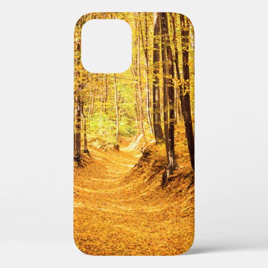 秋の森の風景 Case-Mate iPhoneケース (裏面)