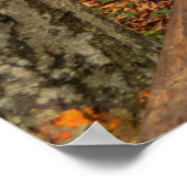 秋の森を抜ける道。 ポスター (角)