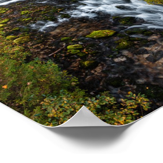 秋の森を流れる水 ポスター (角)