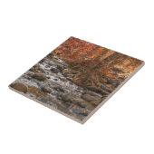 秋の森川セドナアリゾナ タイル (側面)