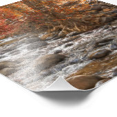 秋の森川セドナアリゾナ フォトプリント            (角)