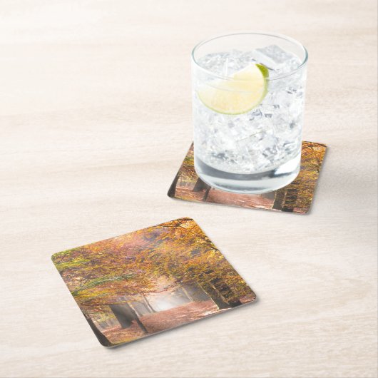秋の森林コースターの太陽光線 スクエアペーパーコースター (インサイチュ)