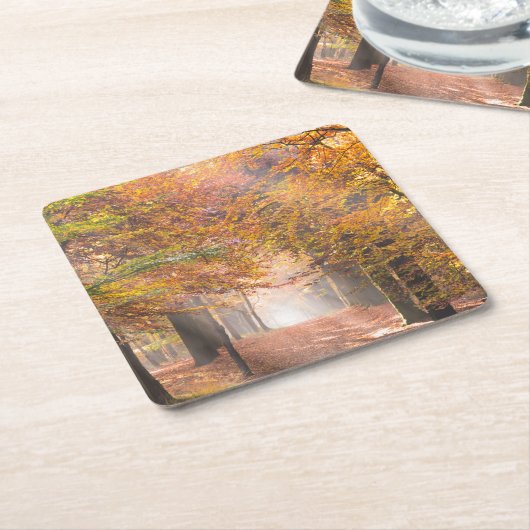 秋の森林コースターの太陽光線 スクエアペーパーコースター (アングル)