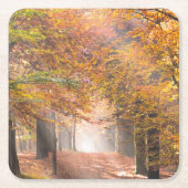 秋の森林コースターの太陽光線 スクエアペーパーコースター (正面)