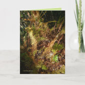 秋の森林床 カード (正面)