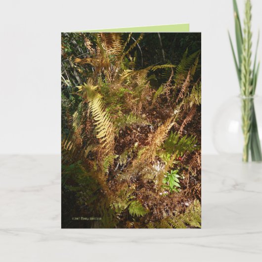 秋の森林床 カード (正面)