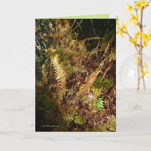 秋の森林床 カード (黄色い花)