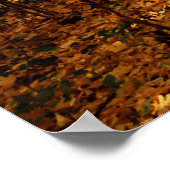 秋の森林景観 ポスター (角)