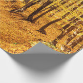 秋の森林景観 ラッピングペーパー (角)