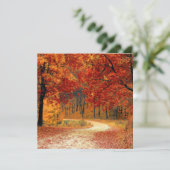 秋の森林 シーズンカード (スタンド正面)