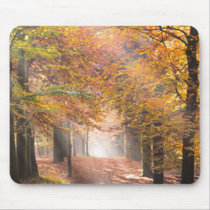秋の森林mousepadの太陽光線 マウスパッド