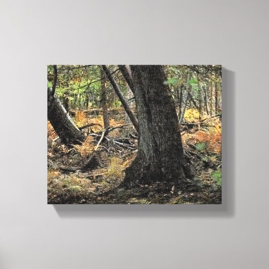 秋の森風景 キャンバスプリント (正面)