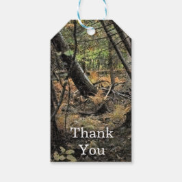 秋の森風景 ギフトタグ