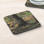 秋の森風景 コースター (左側)