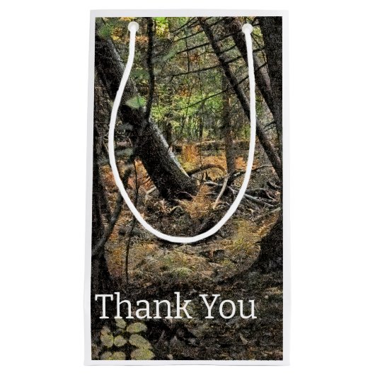 秋の森風景 スモールペーパーバッグ (正面)