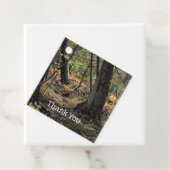 秋の森風景 フェイバータグ (インサイチュ)