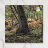 秋の森風景 フェイバータグ (裏面)