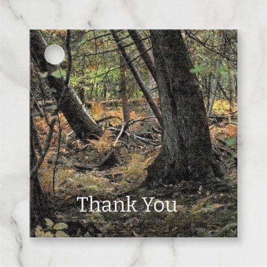 秋の森風景 フェイバータグ (正面)